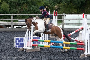 Class 3 -  Fences not above 2'3